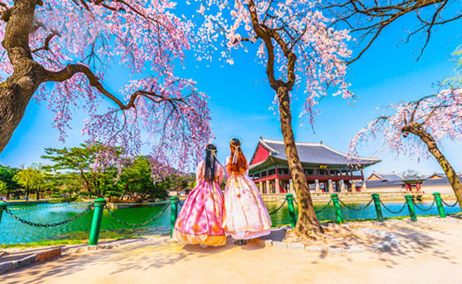 Vẻ đẹp mùa xuân Hàn Quốc