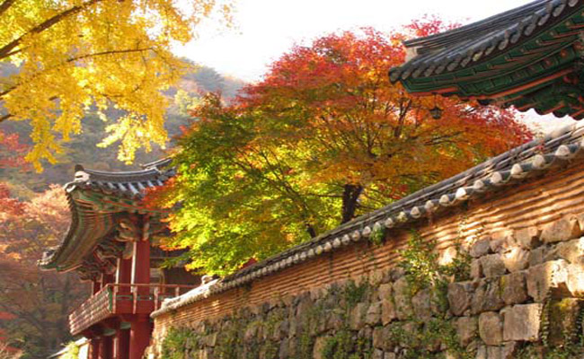 Hàn Quốc – Vẻ đẹp truyền thống