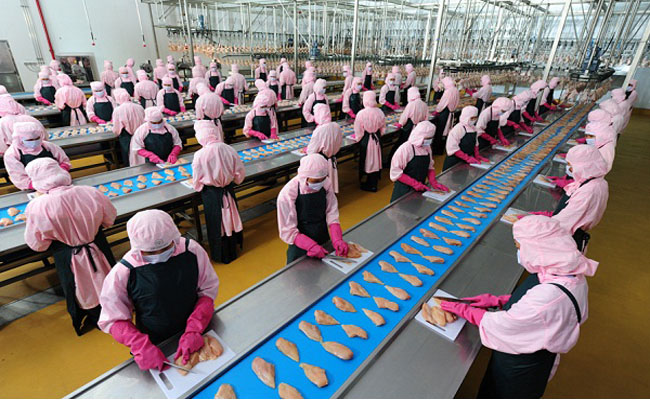 Nữ giới nên chọn ngành nghề nào khi đi xuất khẩu lao động Đài Loan tại Đắk Lắk?